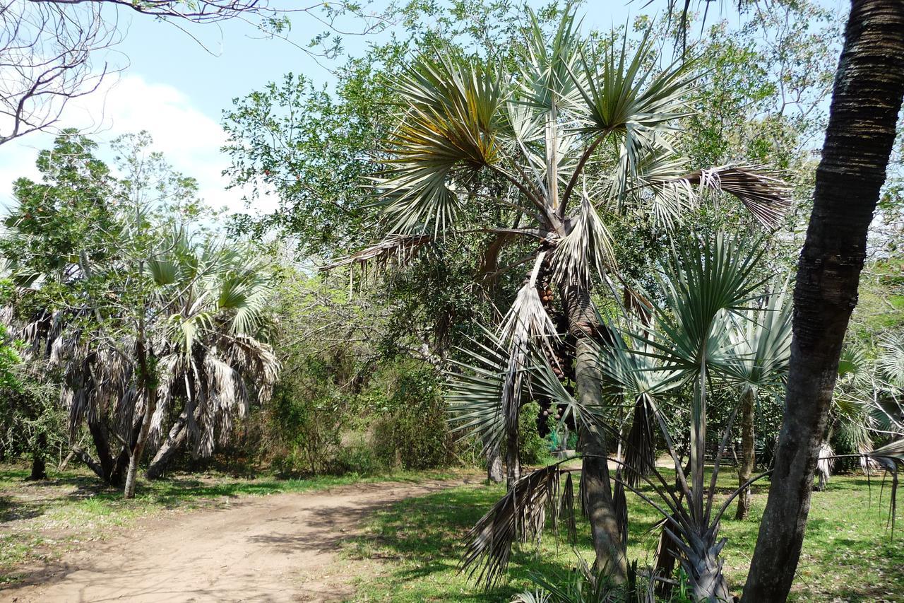 Isinkwe Bush Camp Villa Hluhluwe Exterior photo